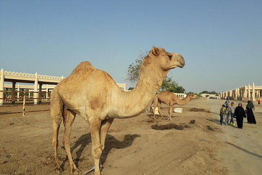 Tour image 4
